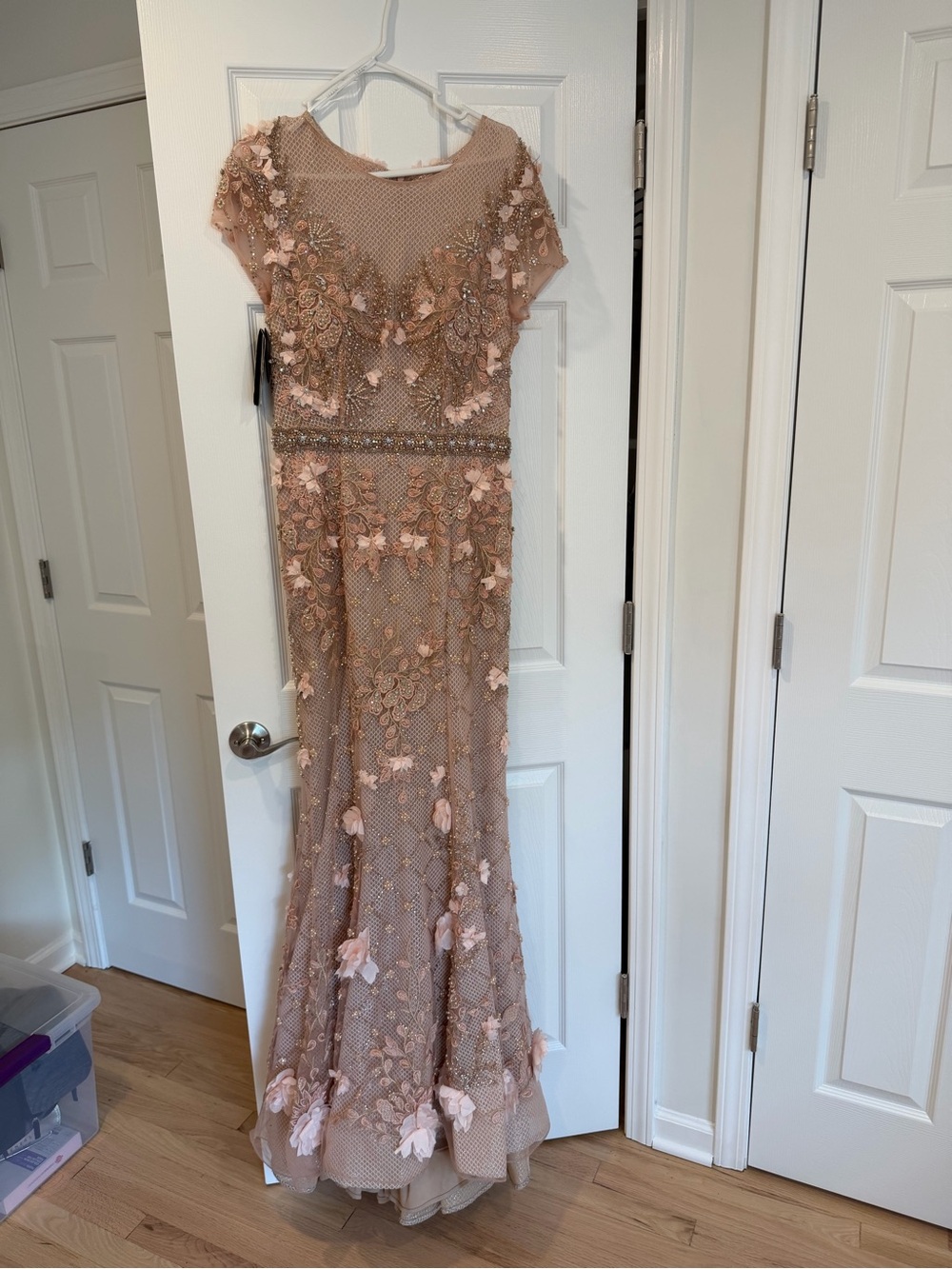 Terani Couture Embellished Blush Evening Gown